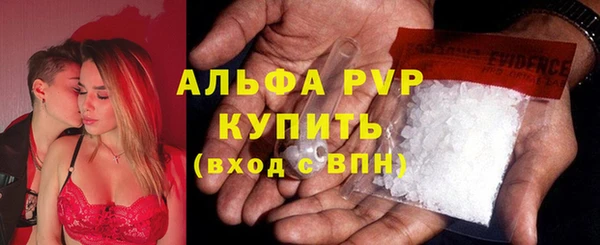 ALPHA-PVP Новозыбков