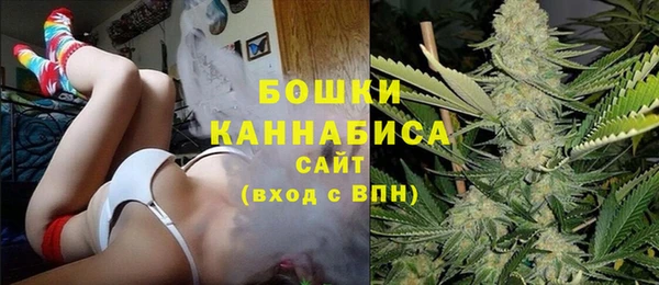 мдпв Новодвинск