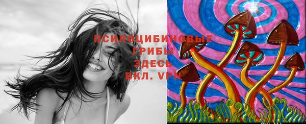 герыч Новокубанск