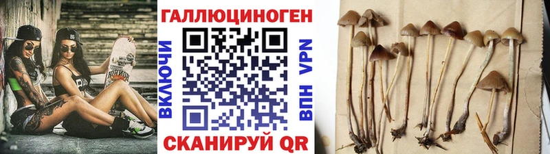 Галлюциногенные грибы Magic Shrooms  ОМГ ОМГ маркетплейс  Осташков 